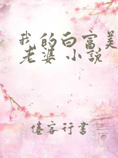 我的白富美总裁老婆 小说