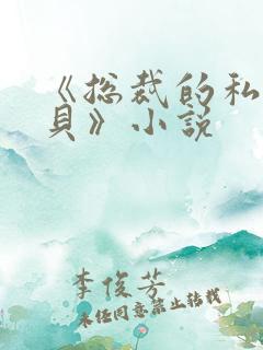 《总裁的私有宝贝》小说