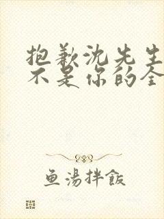 抱歉沈先生孩子不是你的全集免费