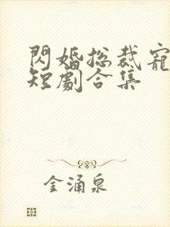 闪婚总裁宠上天短剧合集