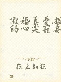 假婚真爱,总裁的心尖宠妻小说