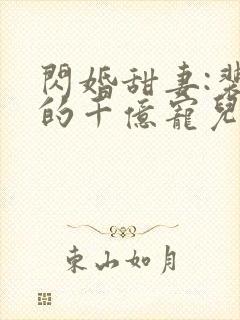 闪婚甜妻:裴少的千亿宠儿