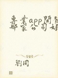 专业app开发哪家公司好