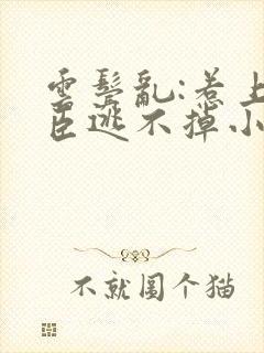 云鬓乱:惹上奸臣逃不掉小说免费阅读