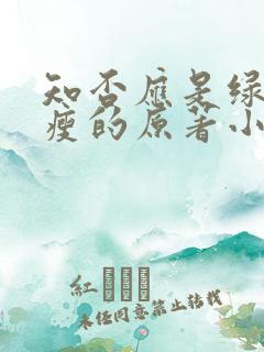 知否应是绿肥红瘦的原著小说