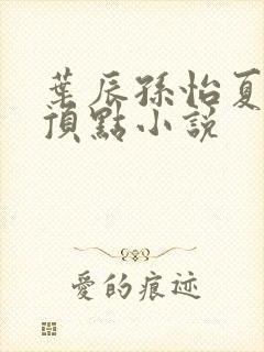 叶辰孙怡夏若雪顶点小说