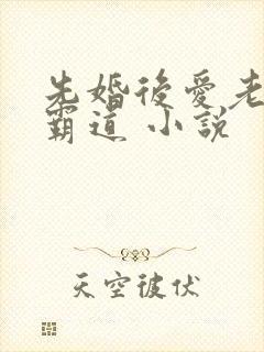 先婚后爱老公太霸道 小说
