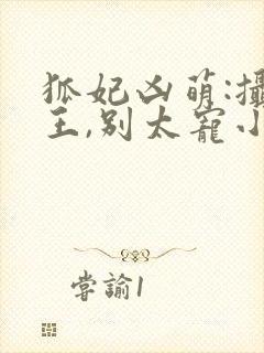 狐妃凶萌:摄政王,别太宠小说