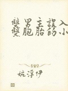 双男主误入病娇双胞胎的小说