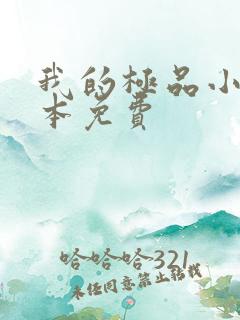 我的极品小姨全本免费