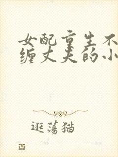 女配重生不再纠缠丈夫的小说推荐