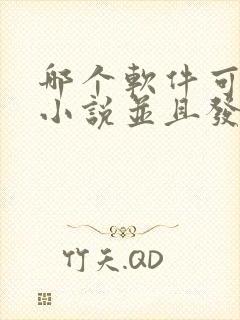 哪个软件可以写小说并且发布赚钱