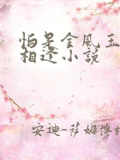 怕是金风玉露不相逢小说