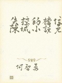 失控的档位林瑶陈城小说免费阅读