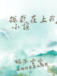 总裁在上我在下 小说