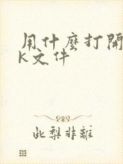 用什么打开bak文件