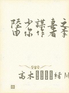 陆少谋妻之婚不由你作者李不言