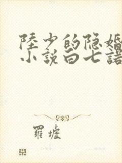 陆少的隐婚罪妻小说白七诺
