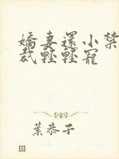 娇妻还小禁欲总裁轻轻宠