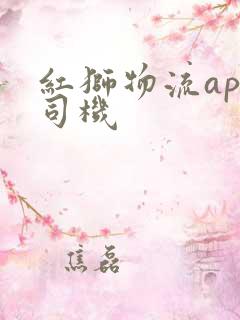 红狮物流app司机