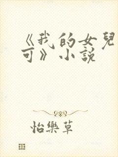 《我的女儿叫小可》小说