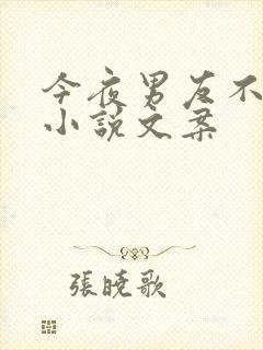 今夜男友不在家小说文案