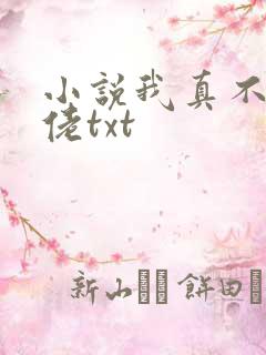 小说我真不是大佬txt