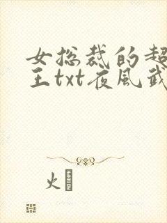 女总裁的超级兵王txt夜风武