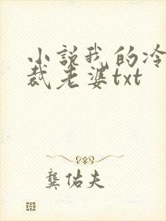 小说我的冷艳总裁老婆txt