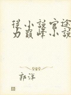 从小说官途:权力巅峰小说