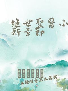 绝世圣医小说最新章节