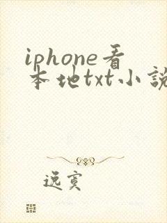 iphone看本地txt小说软件
