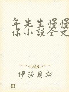 年先生慢慢喜欢你小说全文免费阅读