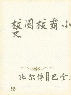 校园校霸小说甜文