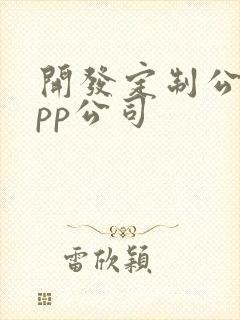 开发定制公司app公司