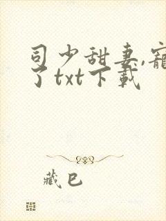 司少甜妻,宠定了txt下载