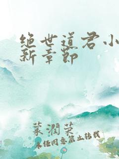 绝世道君小说最新章节