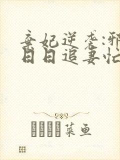 弃妃逆袭:邪王日日追妻忙小说小说