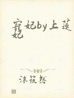 宠妃by上莲宓妃