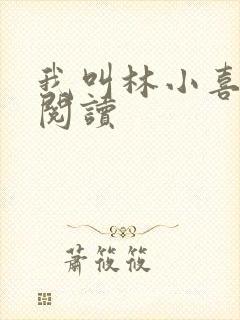 我叫林小喜全文阅读