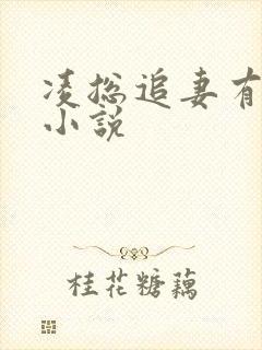 凌总追妻有点甜小说