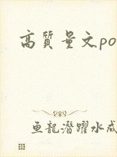 高质量文po言