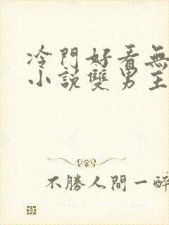 冷门好看无限流小说双男主