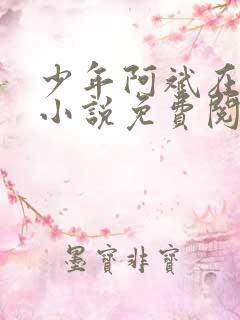 少年阿斌在线听小说免费阅读