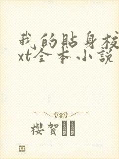 我的贴身校花txt全本小说