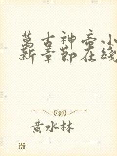 万古神帝小说最新章节在线