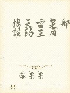 杨天雷是哪部小说的主角