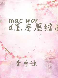 mac word怎么压缩图片大小