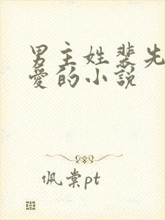 男主姓裴先婚后爱的小说