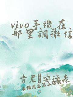 vivo手机在哪里调微信视频美颜